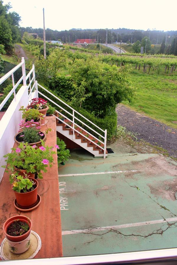 Finca Escusas サンシェンショ エクステリア 写真